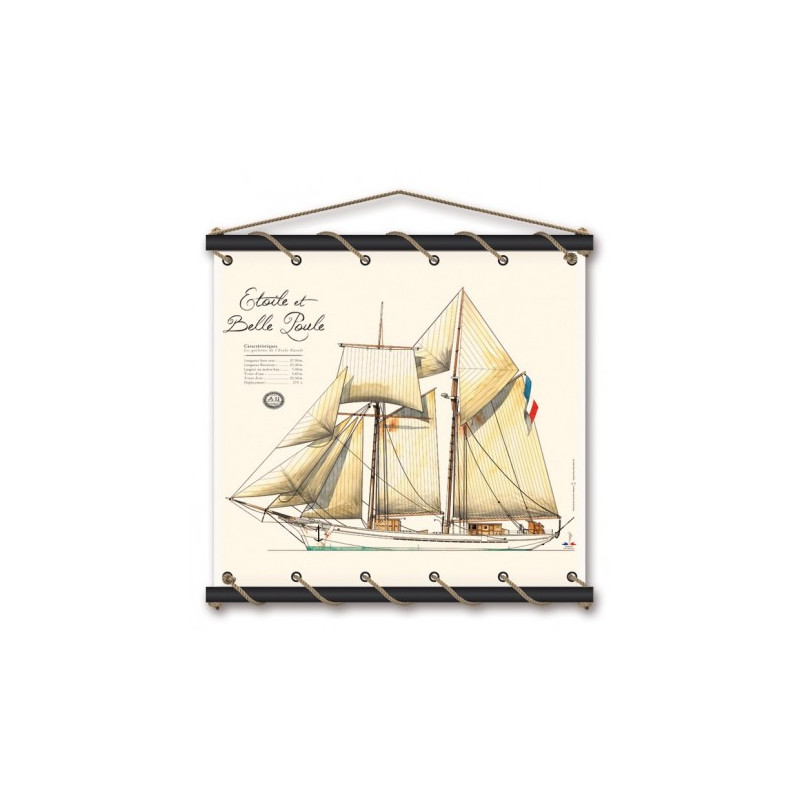 Stretched cotton canvas - Etoile et Belle Poule - Aquarelle